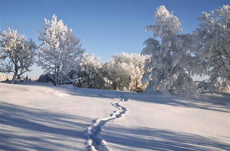 Eestimaa igal maastikupiirkonnal on pakkuda midagi erilist. Meil on võimalik nautida Vahe-Eesti veeuputust, Lääne-Eesti linnuuputust, Lõuna-Eesti lumeuputust ...