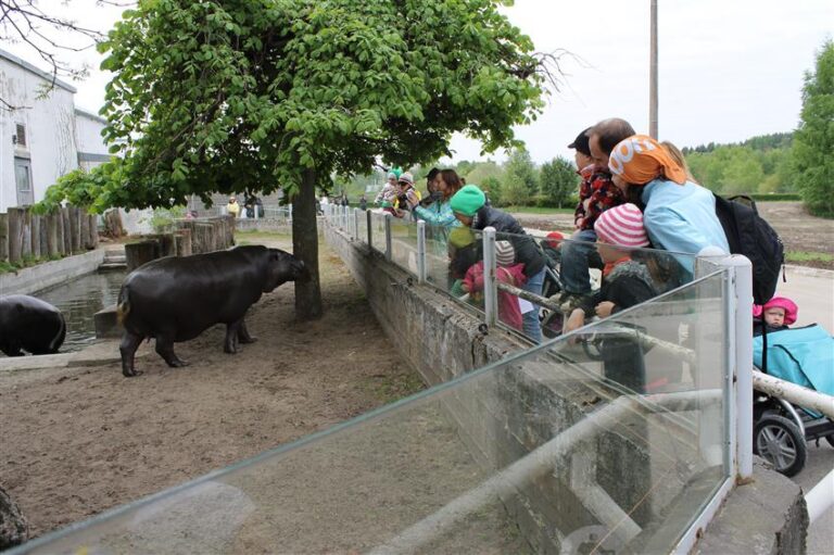 Piknik õppeaasta lõpus on sõimede ühenduse traditsioon, aga pedagoogid tahavad ka midagi harivat korraldada. Nii tehti peredele orienteerumismäng loomaaias. Pildile jäädi jõehobu juures. Foto: Mairi Kell
