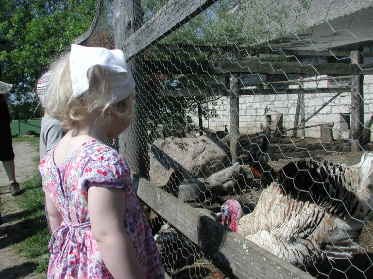 Julged ja jutukad kalkunid olid laste ühed lemmikud.