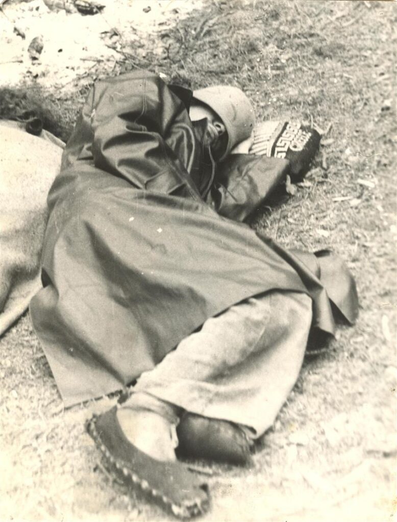 Villu Kangur: Saiapai