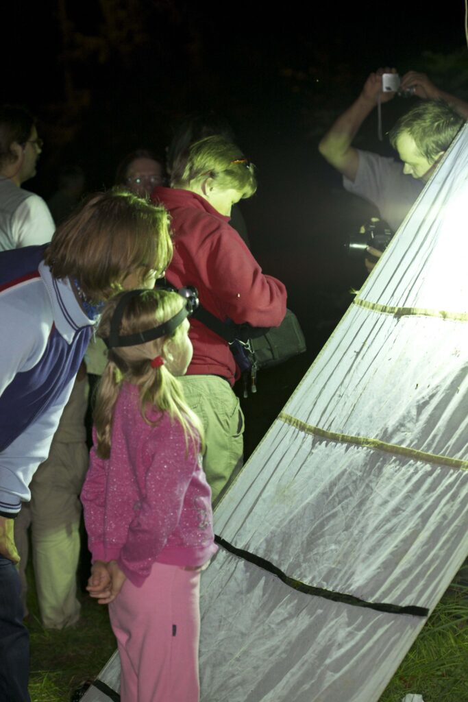 Ööliblikate uurimine 2012. aastal.