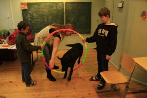 Koer töötab nii suures linnakoolis kui ka väikses maakoolis. Inimeseõpetuse tund Alavere põhikooli 3. klassis. Teemaks emotsioonid/tunded. Koer hüppab läbi rõnga. Rõnga on pannud kokku lapsed. Iga laps lisab rõngale ühe lõigu ja peab enne nimetama, mis on tema jaoks praegusel hetkel elus kõige olulisem. Foto: Viola Kaseniit