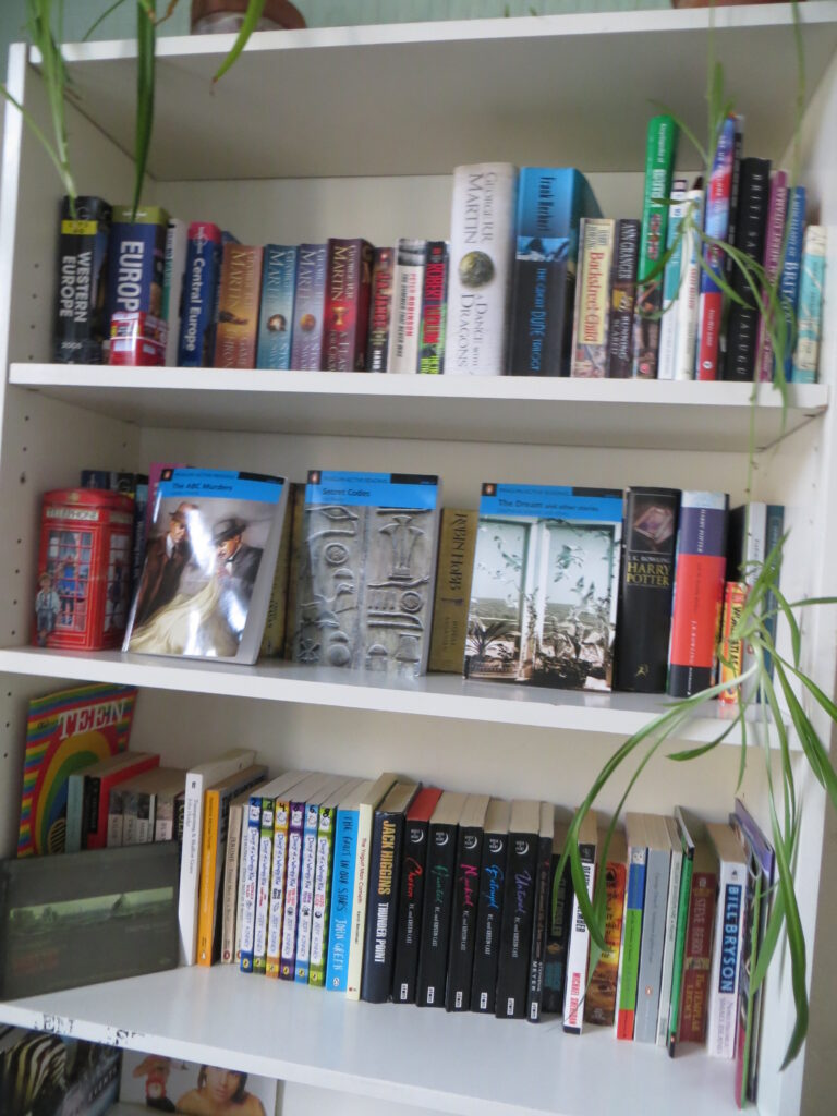 Tartu Kesklinna kooli klassides on riiulid, kuhu õpetajad ise toovad õpilastele raamatuid, mida nad vajalikuks peavad.