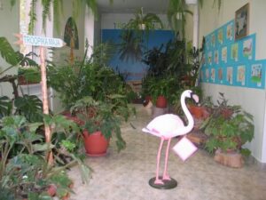 Kooliaed toas – Narva Peetri kooli troopikamaja. Fotod: erakogu