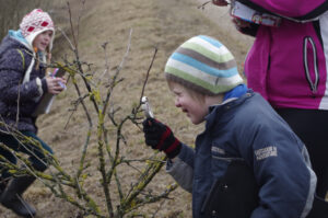 Milleks on puudel pungad? Sellele polegi nii lihtne vastata, kui pealtnäha paistab. Enne matka arutledes jõudsime järeldusele, et pungadeta poleks puudel lehti ega vilju, nii et tänavu suve õunad, ploomid ja kirsid valmivad möödunud suve päikese ja lehtede abiga.