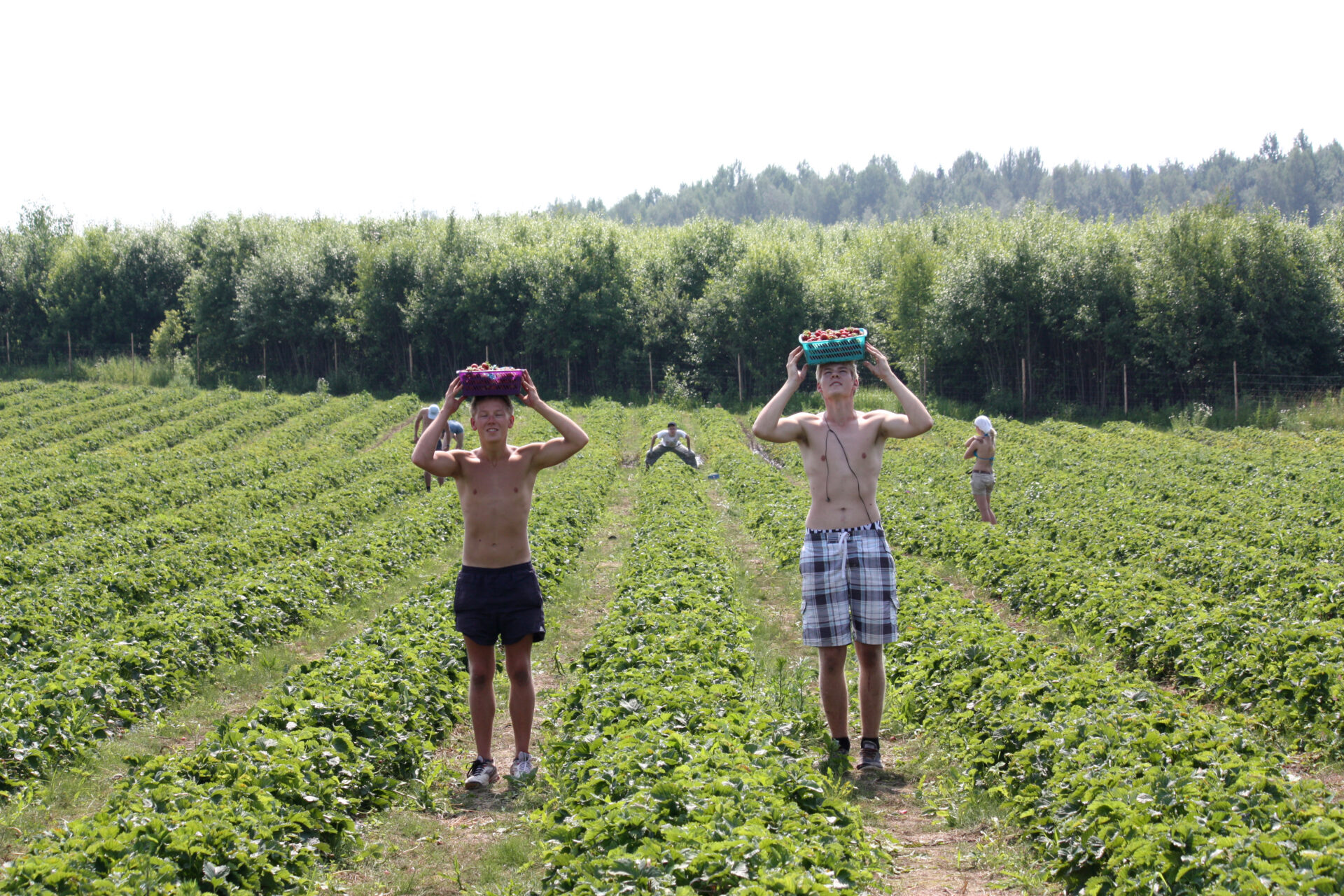 Õpilasmalevad alustavad töösuve