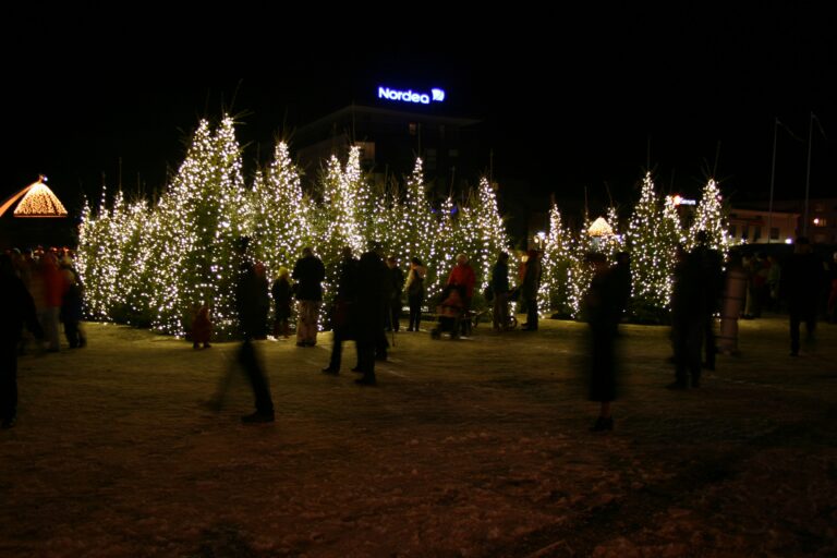 2013. aastal oli kogu väljak kaetud väikeste kuuskedega.