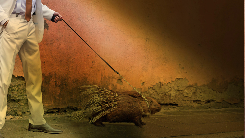 „Suveöö unenäomasin” astub teatrisaalist välja