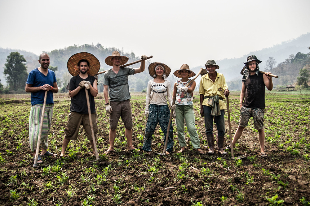 Midagi enamat kui vaid tasuta töö