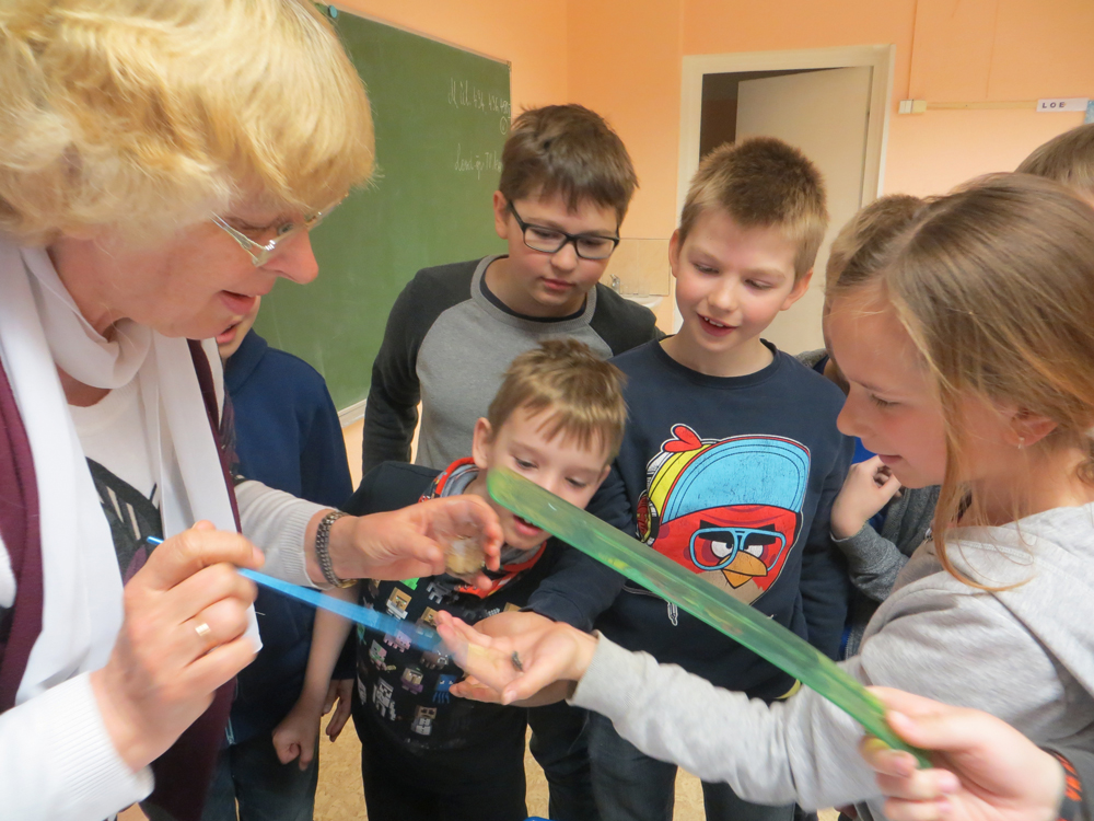 Kui loodus enam ei kutsu