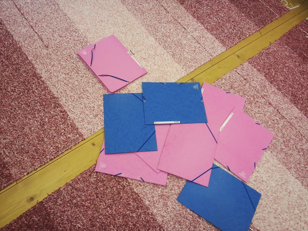 Kas poiste ja tüdrukute asemel hakkavad koolis käima pingviinid?