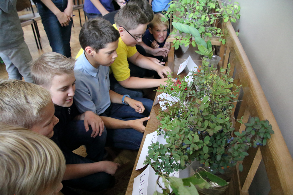 Huvihariduse ja huvitegevuse täiendavaks rahastamiseks muudetakse seadust