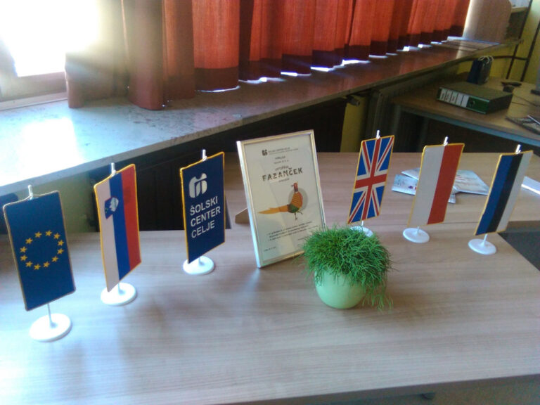 Eesti lipp Velenje koolituskeskuses. Siin algatati Sloveenia kutsekoolide elektroonilise enesehindamise süsteem. 