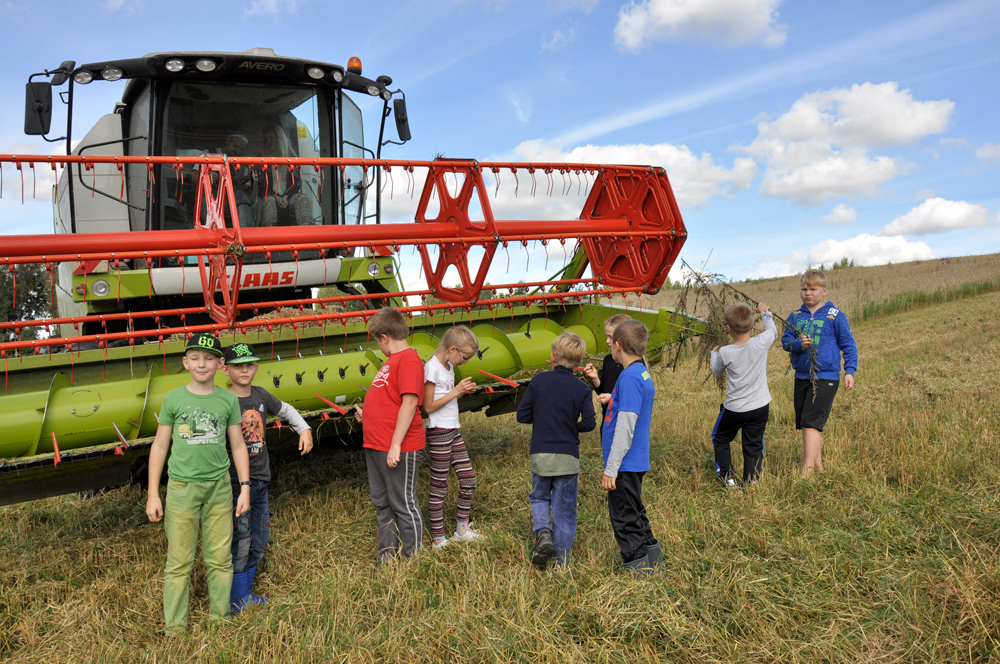 Tund jätkus nisupõllul