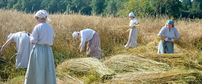 Kohtumiseni tundides! Eesti vabaõhumuuseumi muuseumitundides