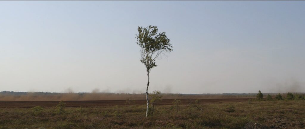 Matsalu loodusfilmide festival avatakse Ants Tammiku debüütfilmiga „Habras maailm”