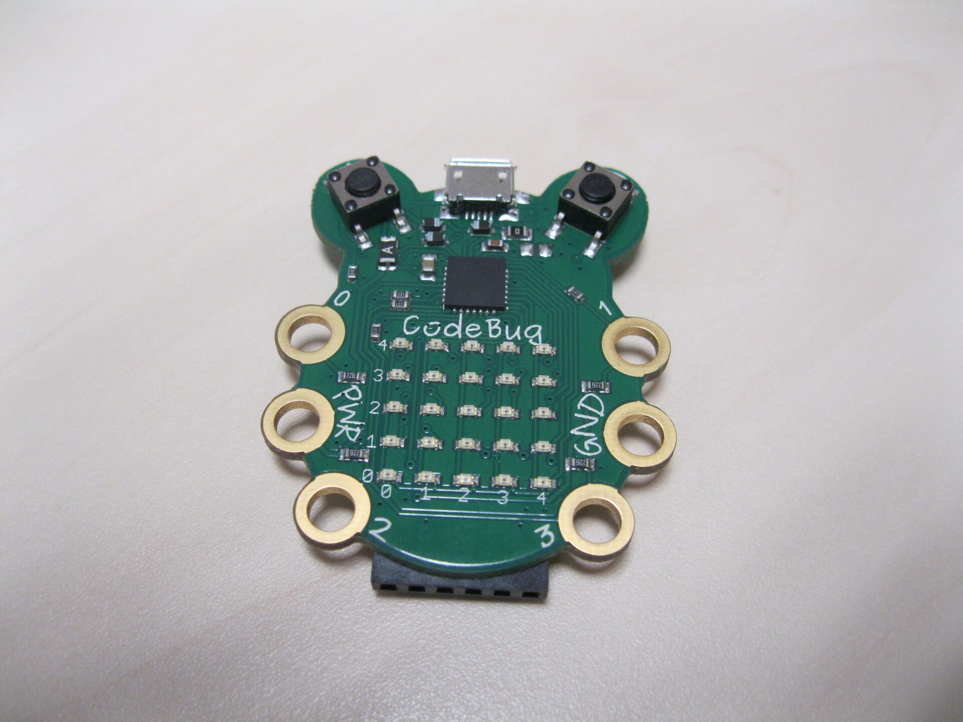 Kuidas programmeerida putukat