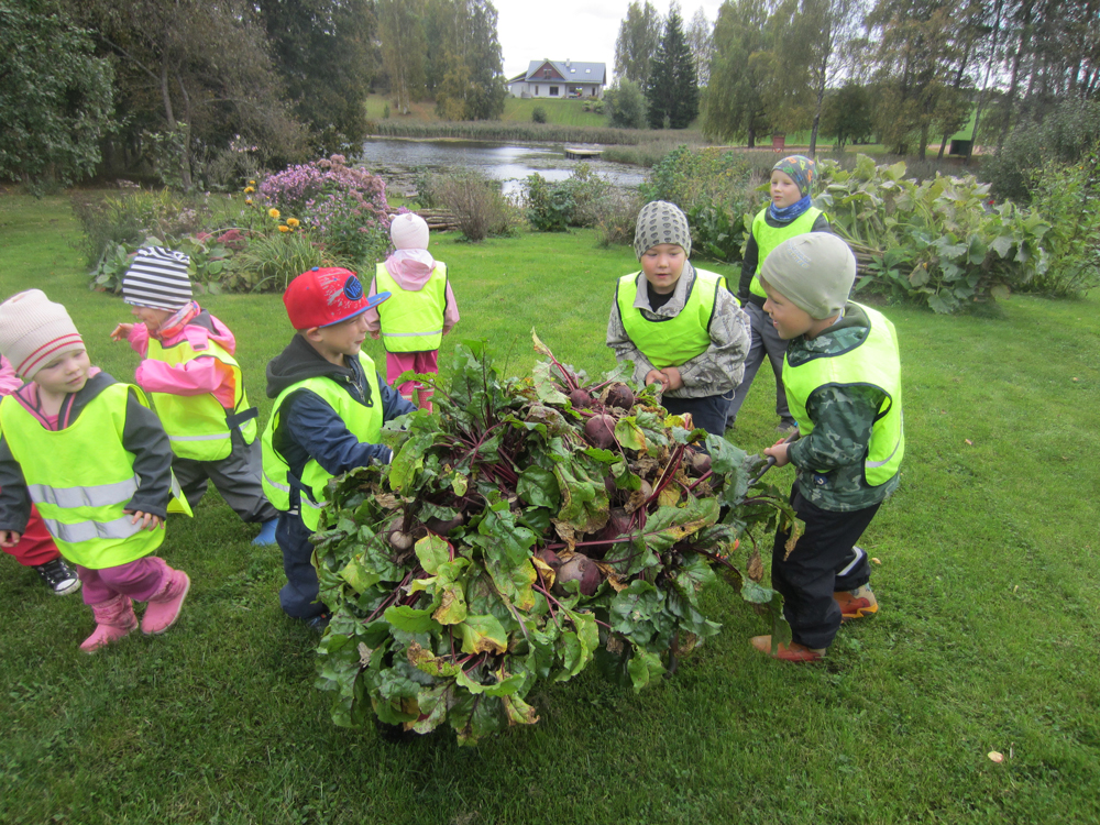Koolilugu: Mängime mõnuga, õpime himuga, töötame tõhusalt