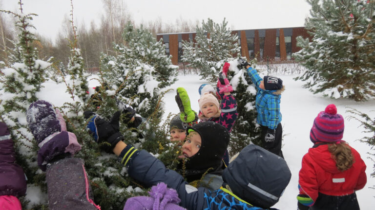 Soinaste Laululinnu lasteaia Tihaste rühma lapsed mõõtsid ja võrdlesid sel nädalal dendropargis kadakaid. Foto: Kaia Pärn
