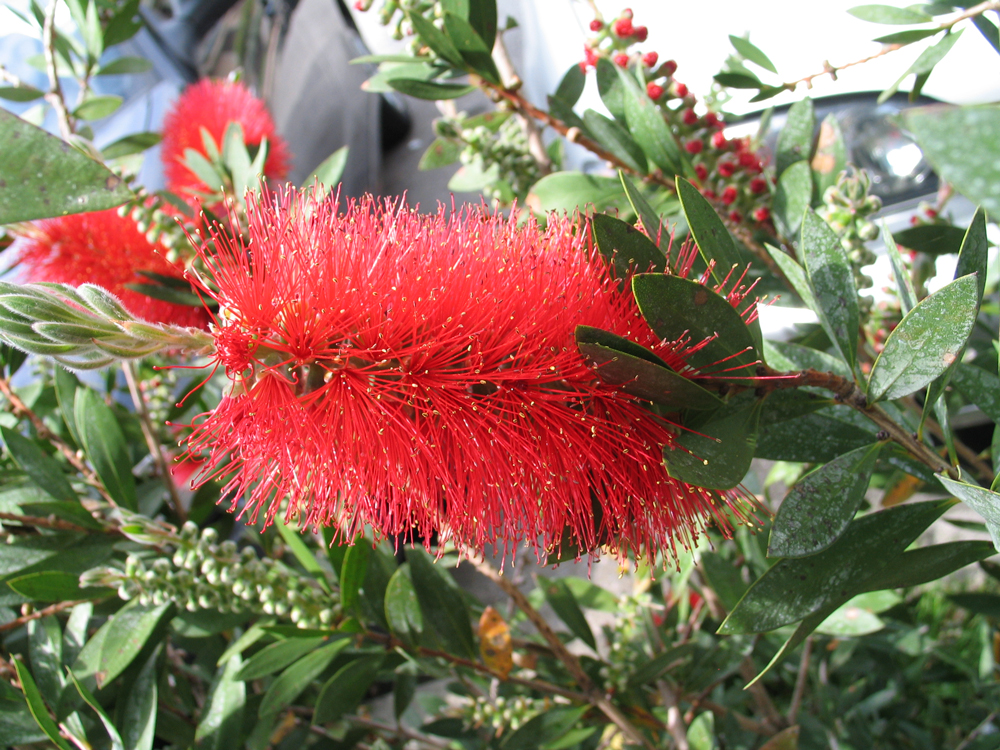 Päikseline Nizza: ootusärev taaskohtumine