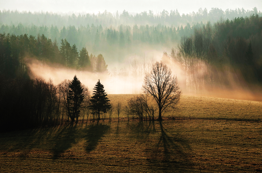 Paigad, mida tasub õpilastega avastada