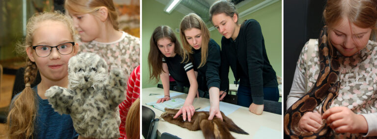 Muuseum pakub mängulisi õppeprogramme, võimalust õppida tundma Eesti imetajaid ja elavnurgas saab tutvuda eksootiliste lemmikloomadega. Fotod: Karin Pai, Andres Tennus