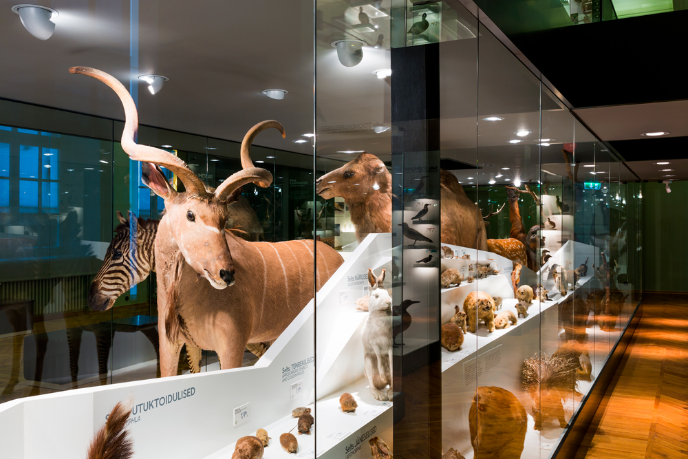 Tartu ülikooli loodusmuuseumis ja botaanikaaias saab uurida nii DNA-d kui ka maailma kooslusi