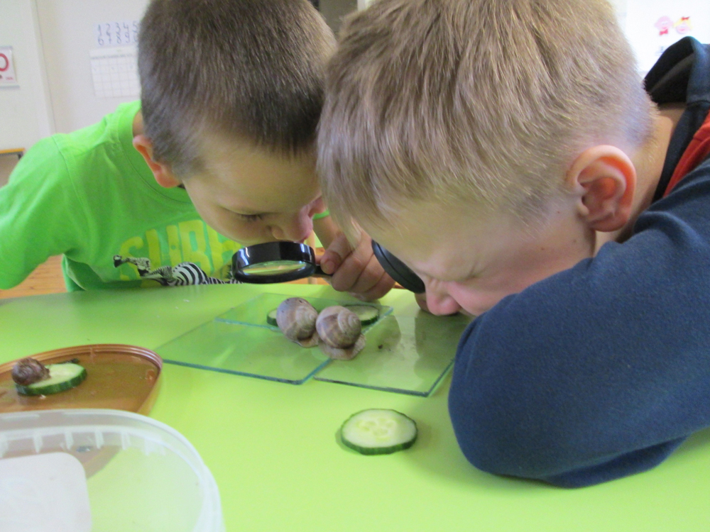 Lasteaiaõpetaja, kes usub, et oma silm on kuningas