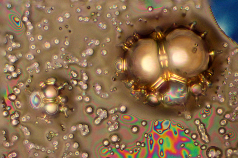 Teadusfoto ületab inimsilmale seatud piire