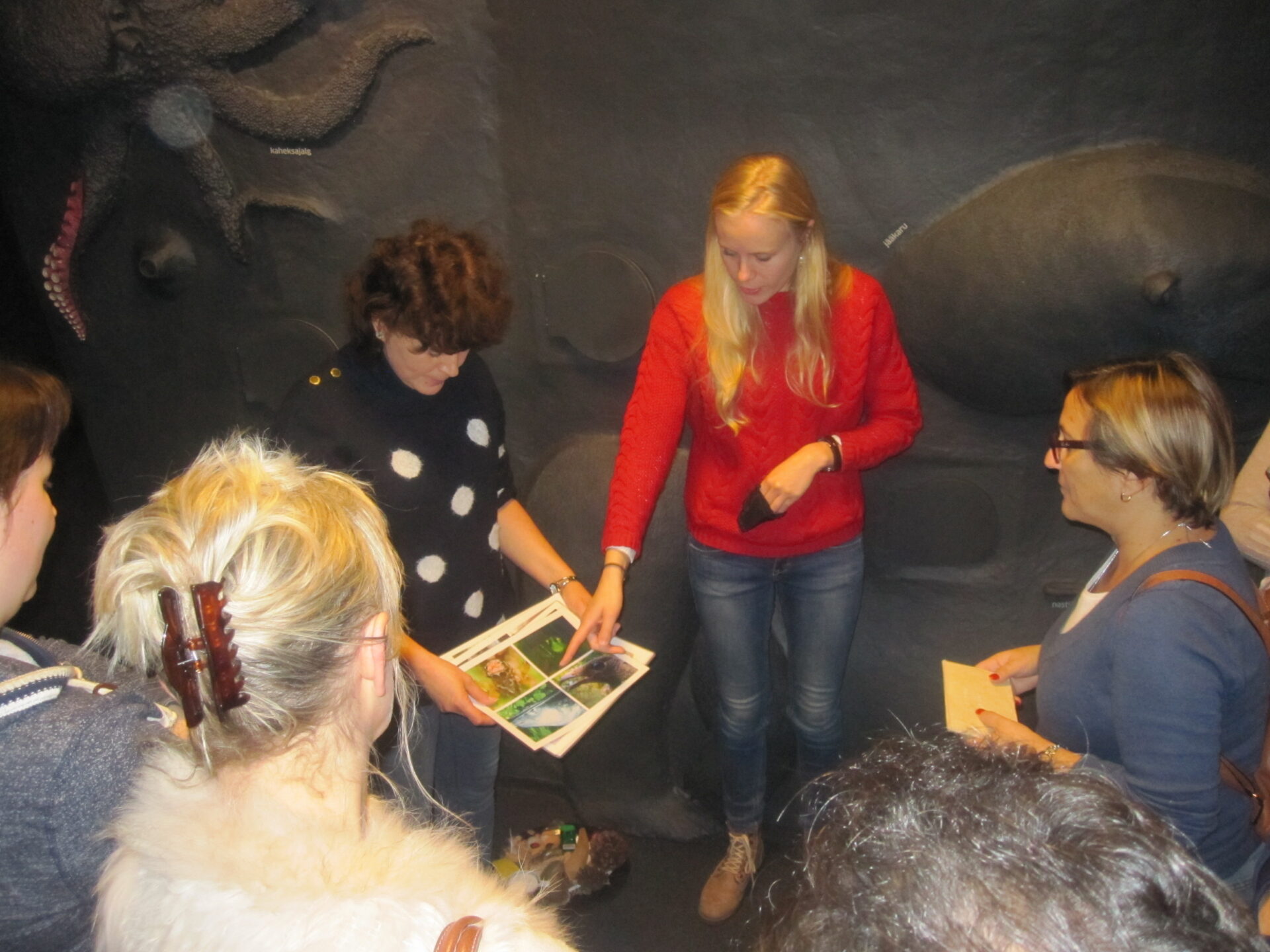 Avastada või uurida?