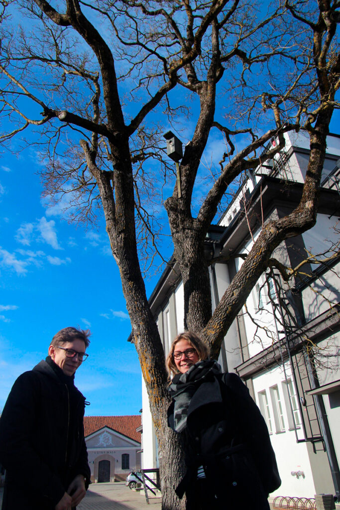 Vägivallaga vägivalla vastu?