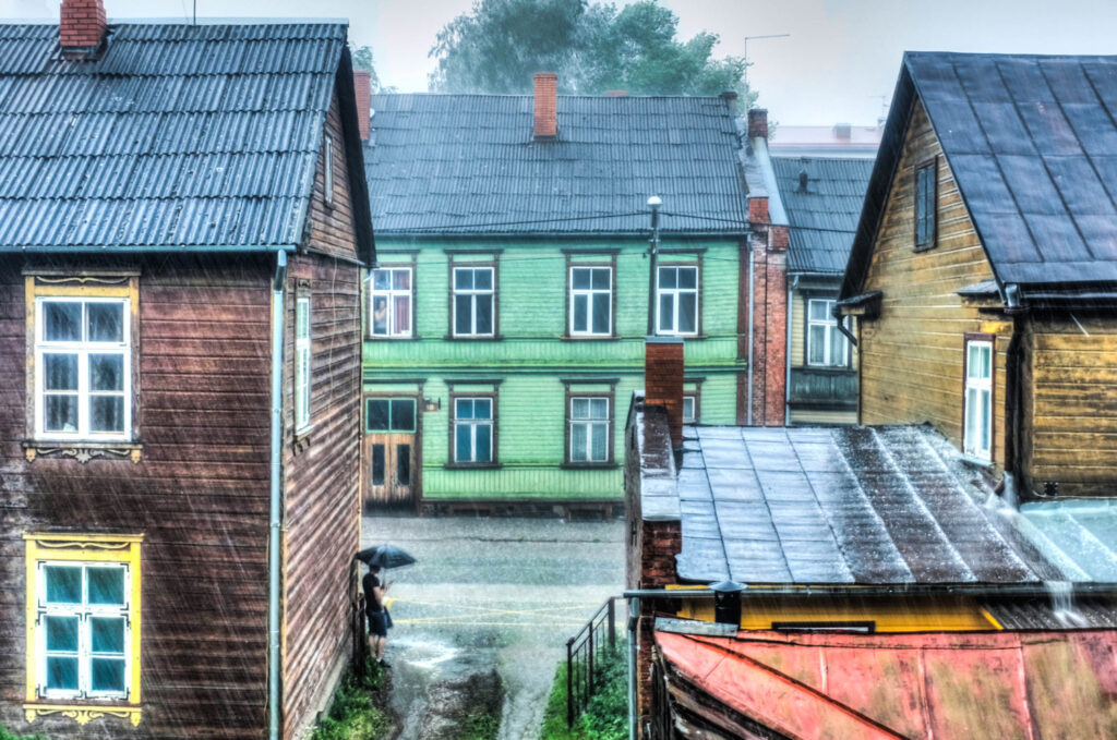 Osale fotokonkursil ja püüa metsik linn pildile!