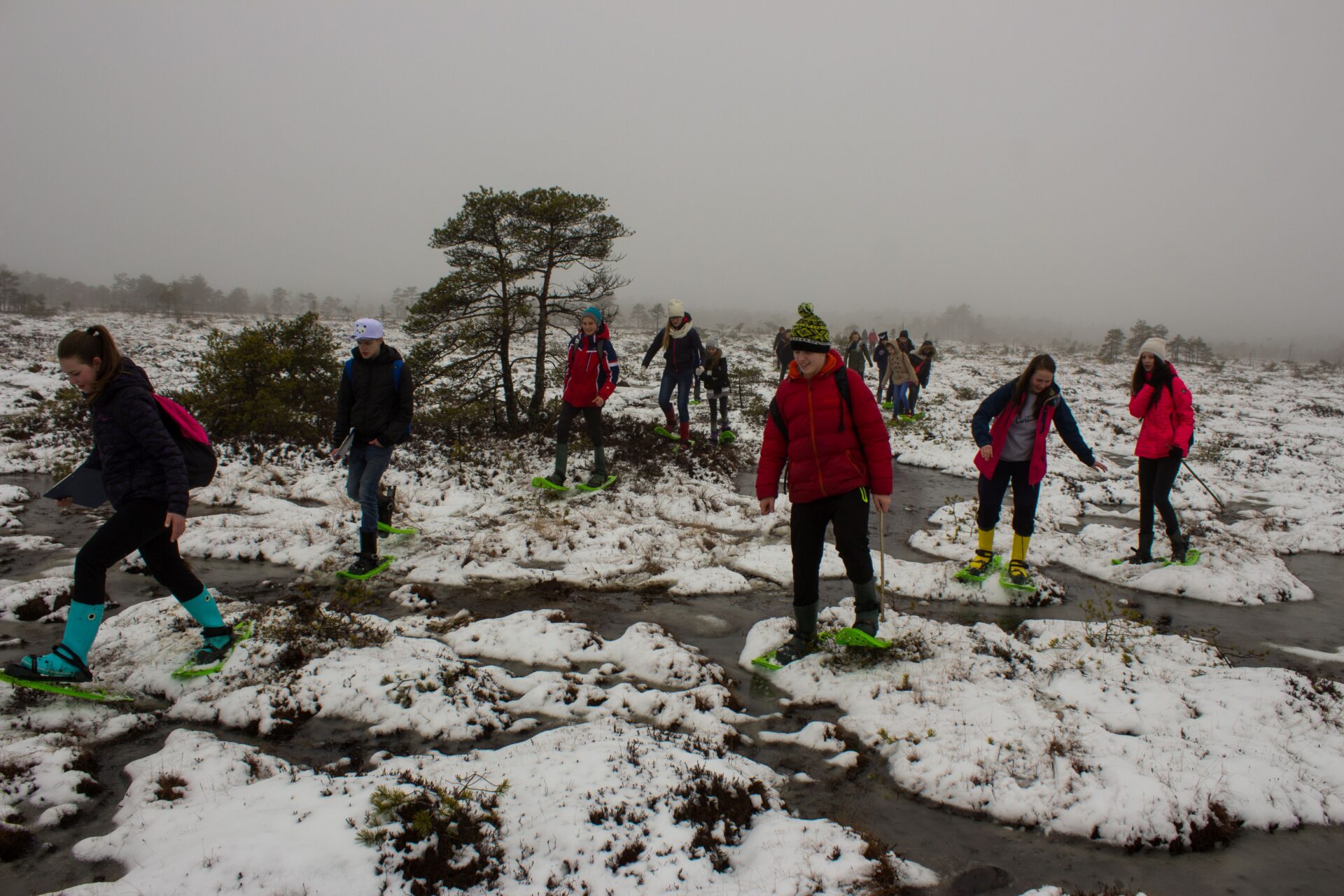 Kui üks kool omadega rappa läheb …