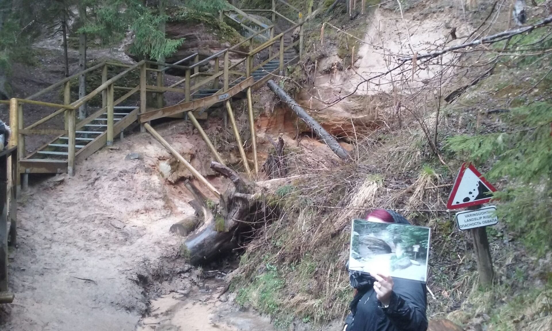 Looduspäev Kiidjärve sipelgariigis ja Taevaskojas