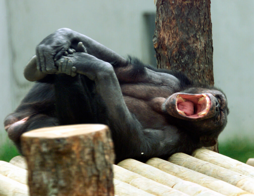 Igavus ja riskikäitumine teismeeas