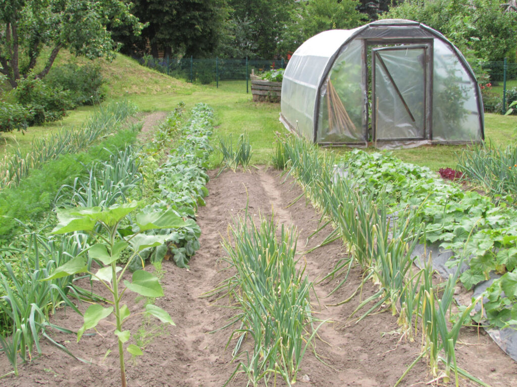 Parksepa lasteaia lapsed saavad oma aias näpud mulda pista