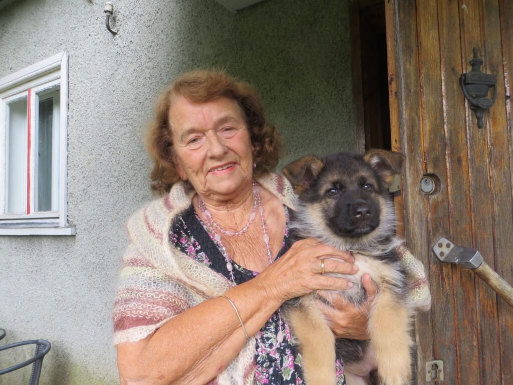 Kuuekümnes aasta klassi ees