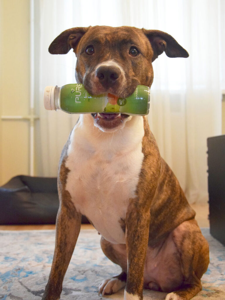 Hüpokoerad aitavad diabeetikul tervist hoida