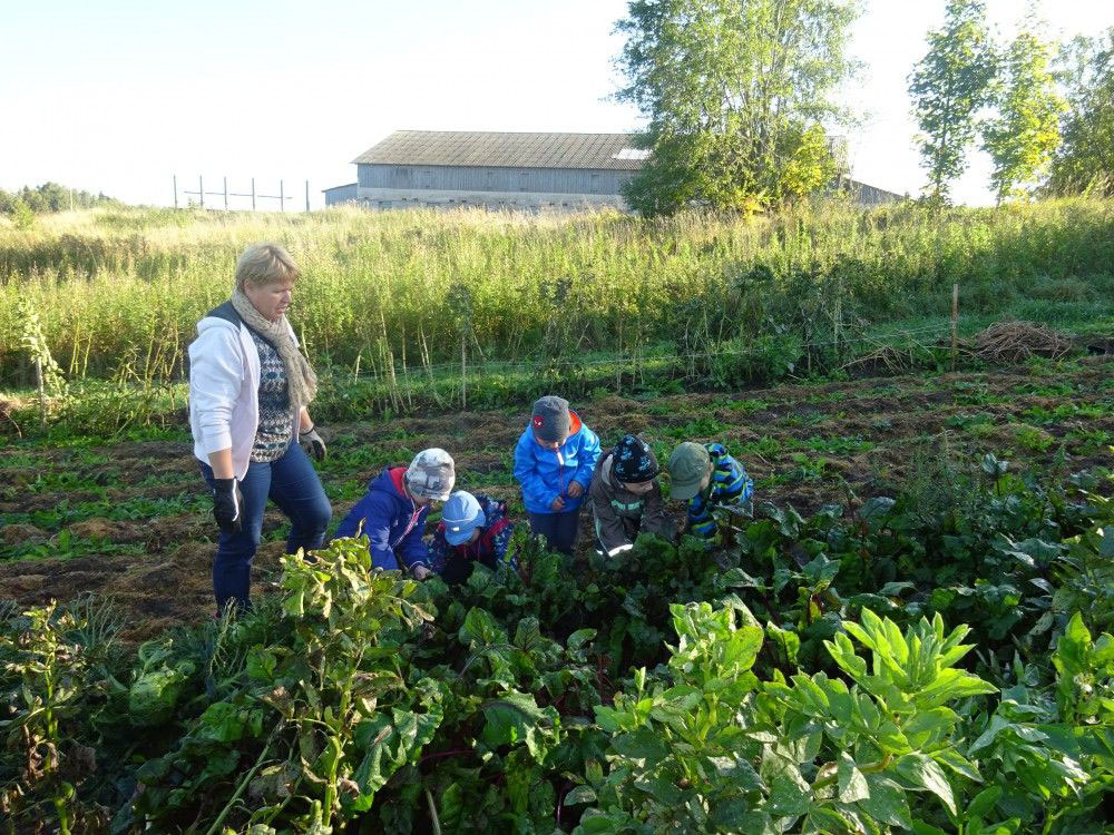 Lapse jaoks on parim, kui tugispetsialistid on lasteaias kohapeal