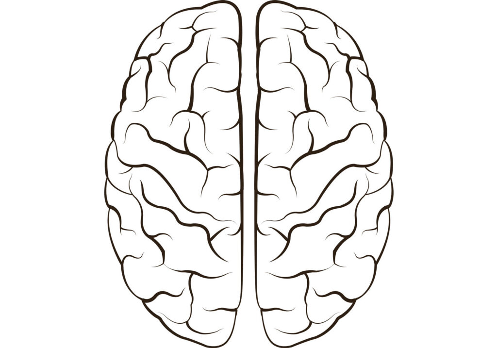 Kas paksem ajukoor on parem ehk Mis on inimliku intelligentsi ja mõtlemise alus?