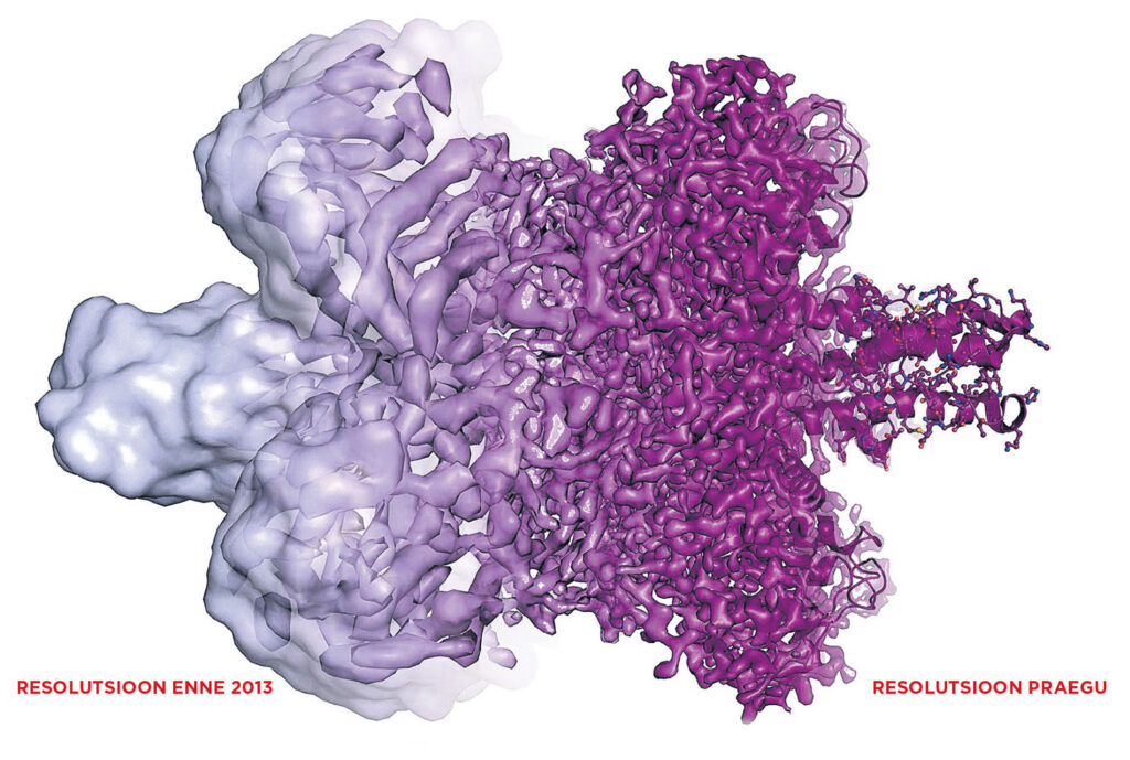 Tutvumine suure molekuliga