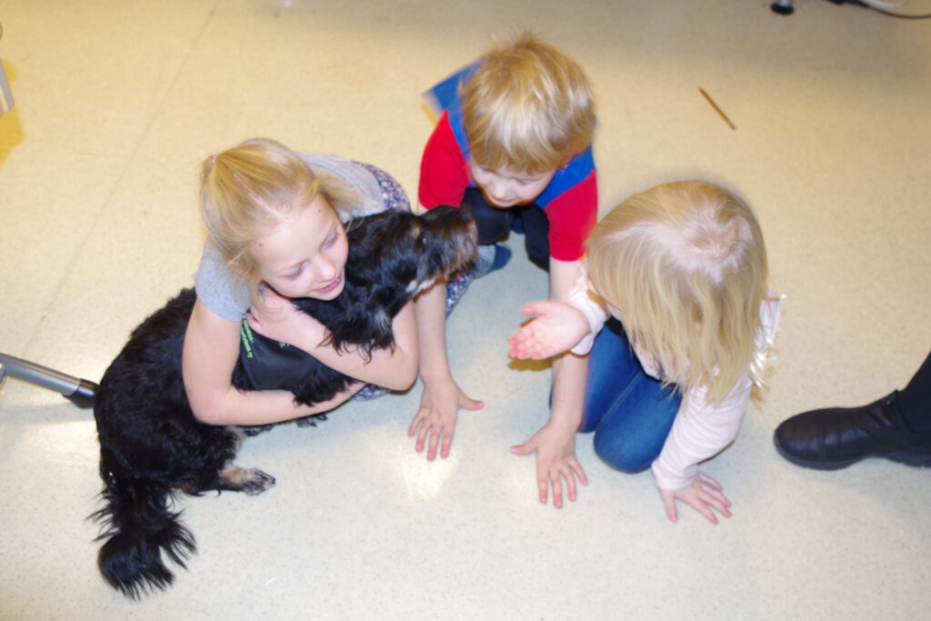 Soome kooli eripedagoog usub koertesse