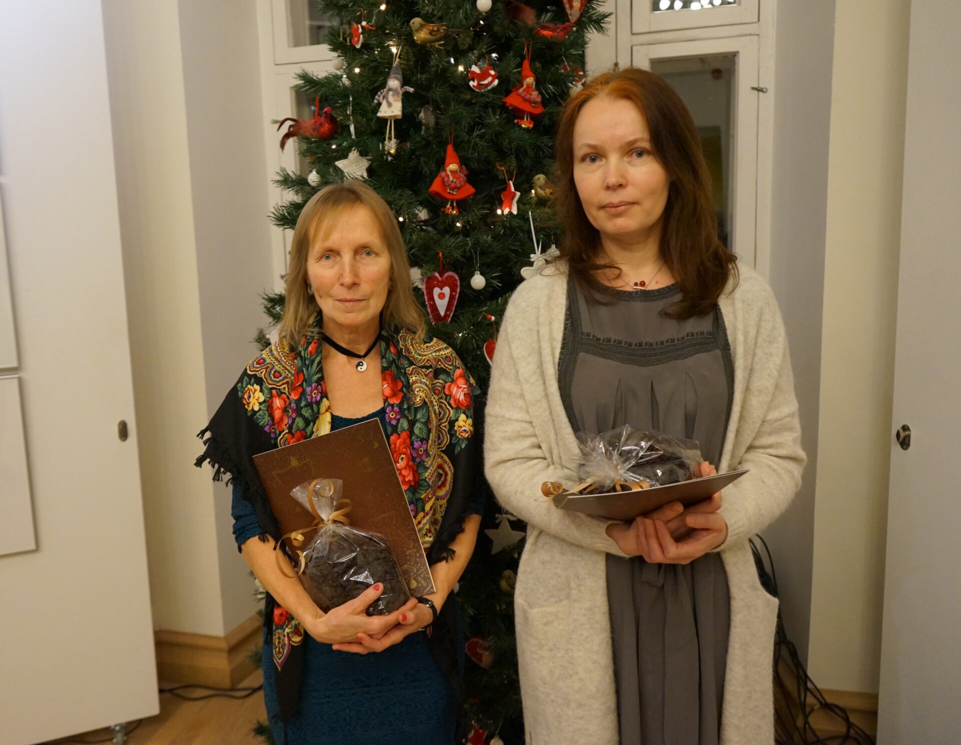 Aasta Rosina auhinna pälvis teadmisteraamat „Füübits”