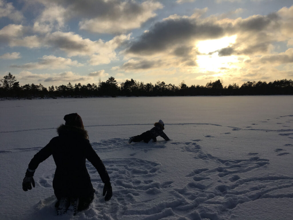Sünnipäevaks Eestile