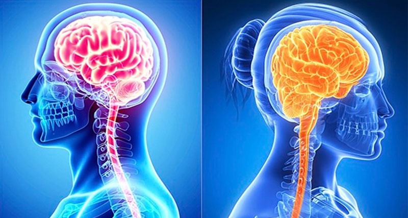 Kui rumalus oleks inimesele loomuomane …