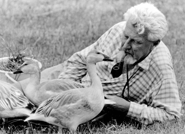 Kes teab, mis muidu võib juhtuda