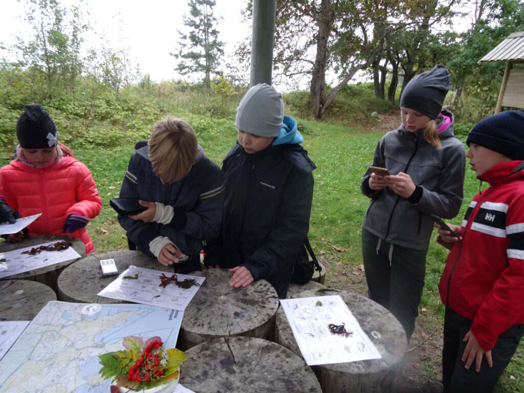 Siililegi selge –  koostööd on vaja