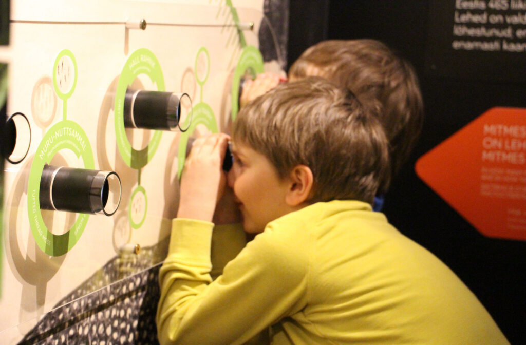 Muuseumiöö kutsub muuseumipeole