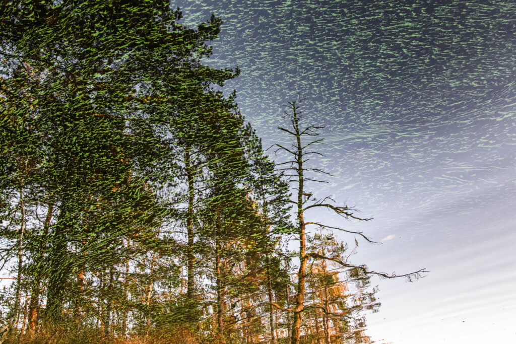 Isaga koos fotojahil