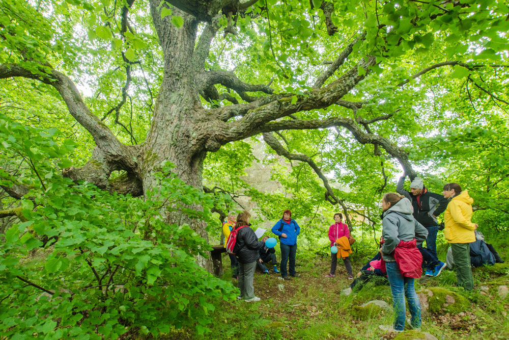 Puhkus maal ja looduses on turismis tugevad suunad